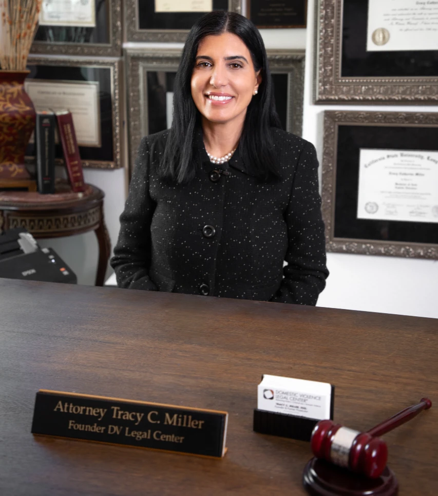 Criminal Defense Attorney